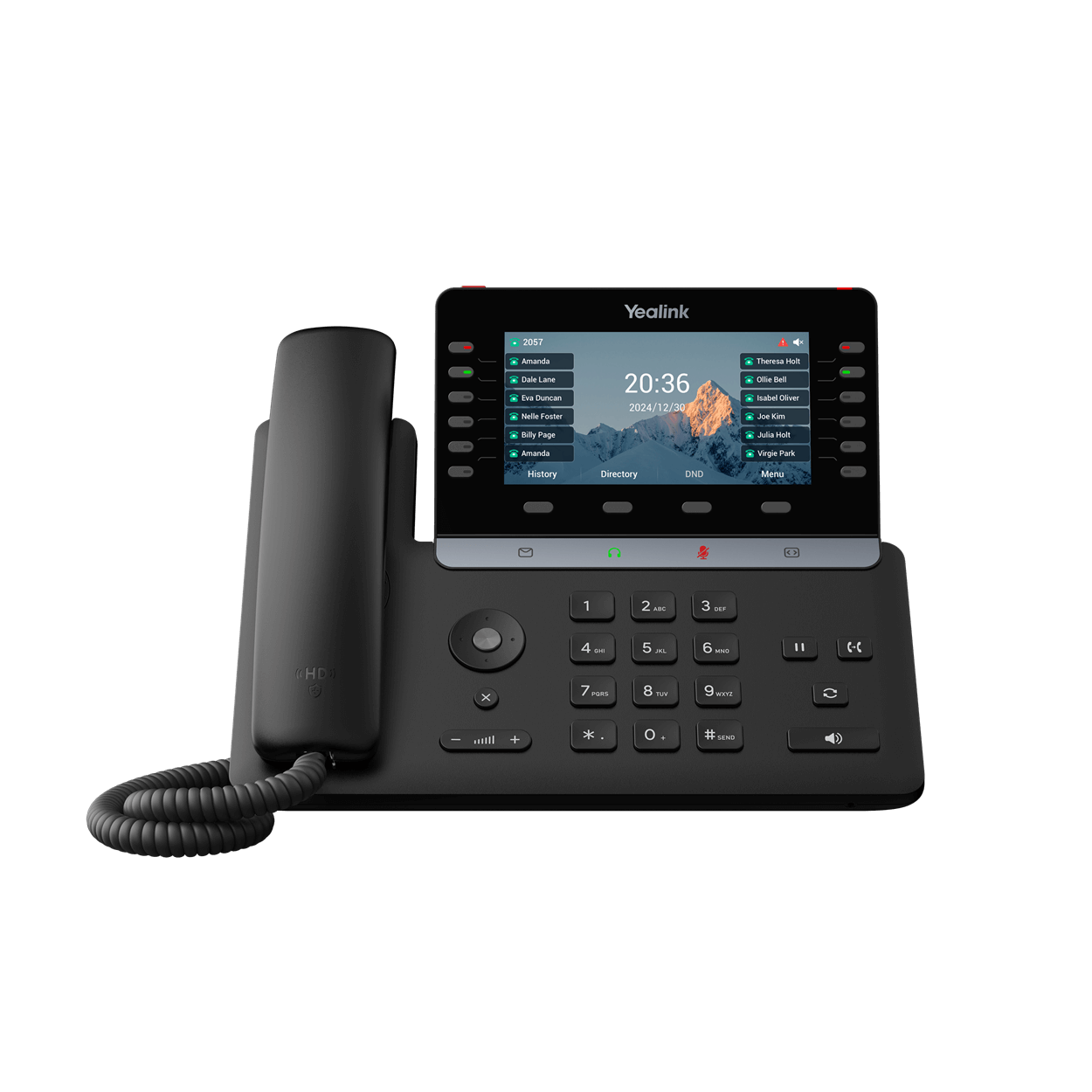 Telephone VoIP T85