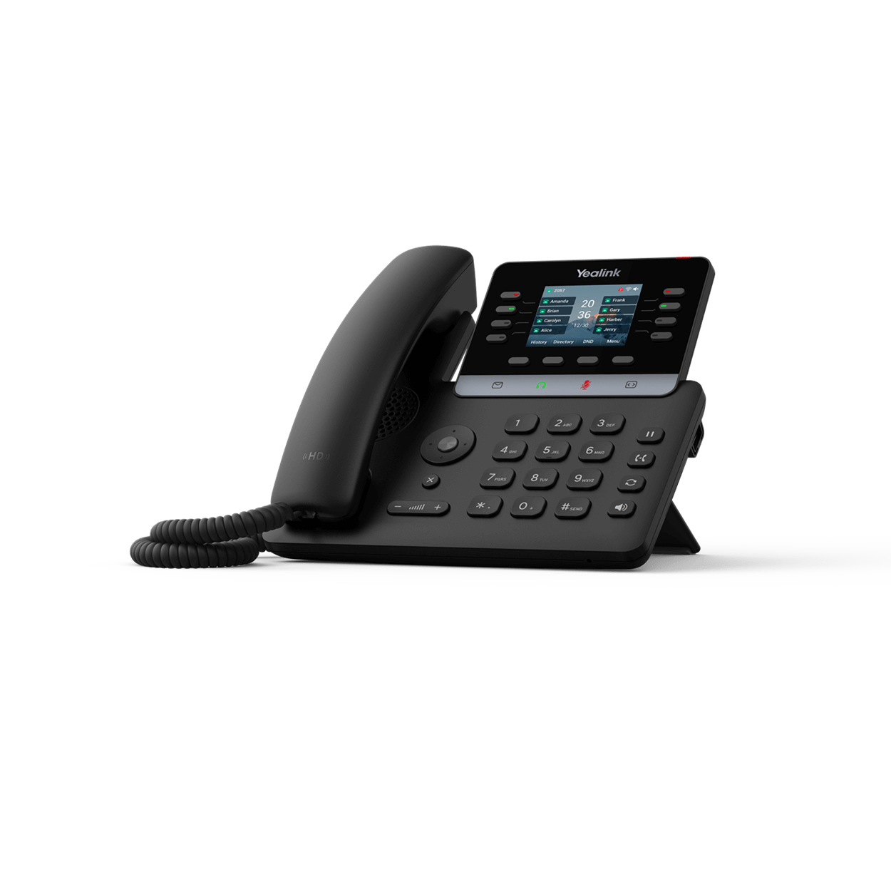 Telephone VoIP T73